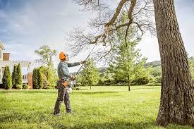 Best Lawn Disease Treatment  in Nichols Hills, OK