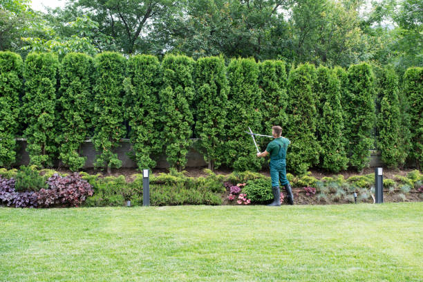 Best Tree Risk Assessment  in Nichols Hills, OK