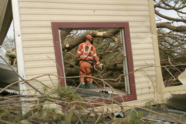 Best Stump Grinding and Removal  in Nichols Hills, OK